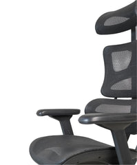 Mesh Back Ergonomic Chair