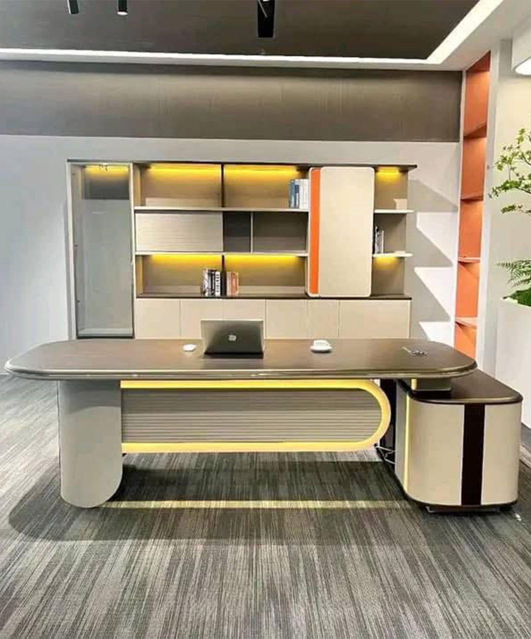 Elegant Executive Desk